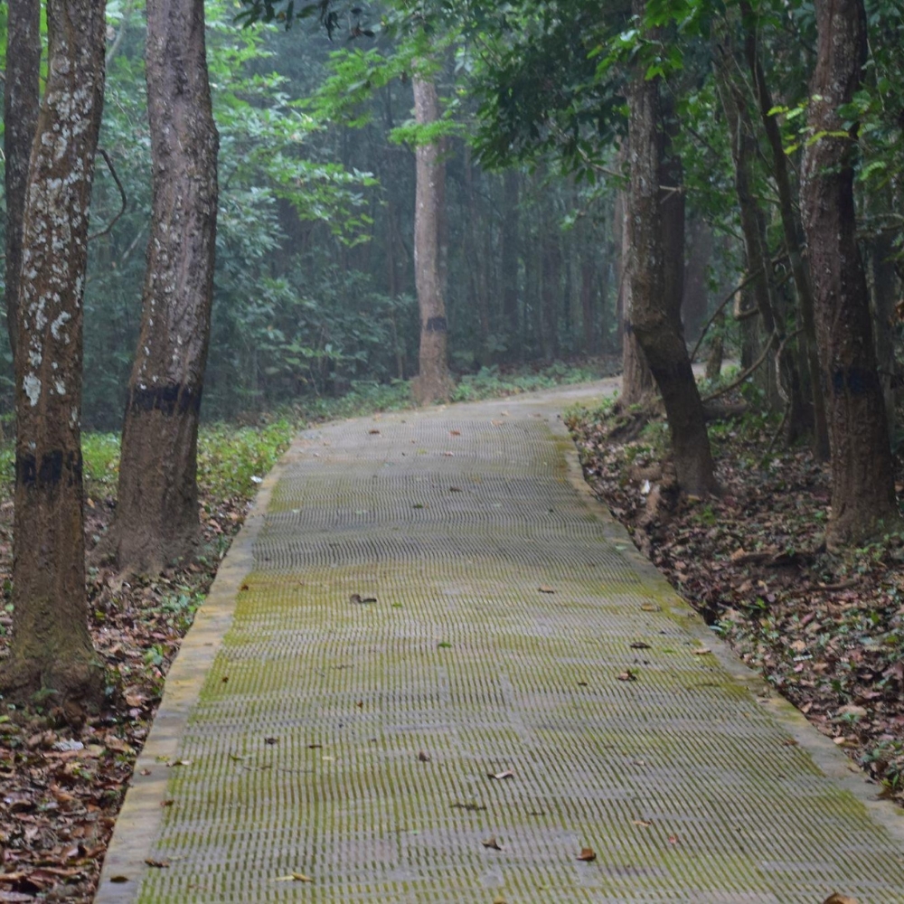 Botanical & Zoological Areas